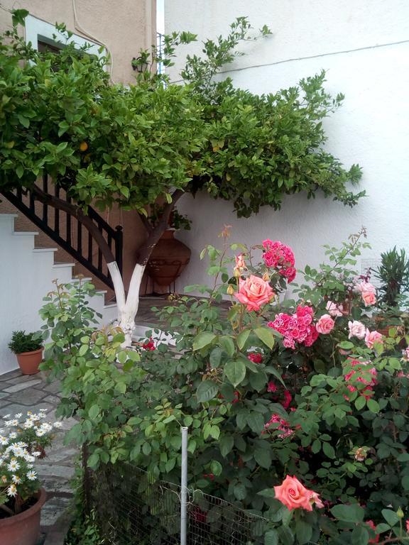 Sofia'S Garden Studios Скопелос Екстериор снимка